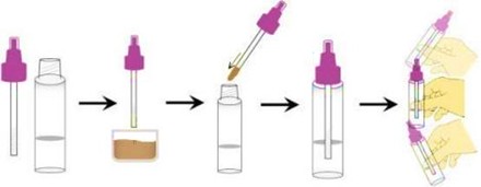 ProDetect™ H.Pylori Antigen Rapid Test -- content1