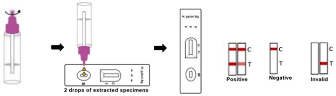 ProDetect™ H.Pylori Antigen Rapid Test -- content2